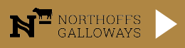Northoff Galloways